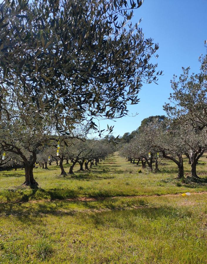 Les Hauts du Peireguier La Motte Exterior foto